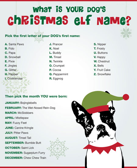 christmas elf name generator funny
